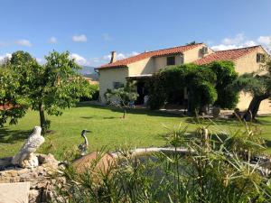 a house with two birds in front of a yard at Mas de Pascalette in Montauroux