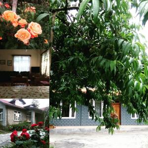 deux photos d'une maison et d'un arbre avec des fleurs dans l'établissement Denzong House, à Kalimpong