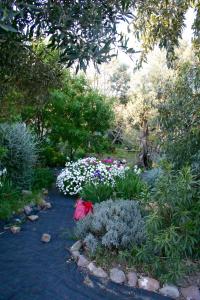 a garden with a bunch of flowers and plants at Arcadia Guesthouse in Eresos