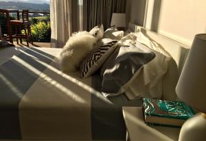 Callemondah Studio with stunning views, in Bangalow and Byron Hinterland的休息区