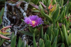 صورة لـ Heidelberg Kloof Lodge في هايدلبرغ