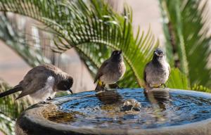 صورة لـ Heidelberg Kloof Lodge في هايدلبرغ +43 صورة