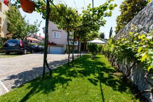 a row of trees in a yard next to a wall at Apartments Durda in Krk