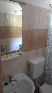 a bathroom with a toilet and a sink and a mirror at Casa Victoria in Nufăru +114 photos