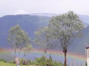 Paesaggio naturale nelle vicinanze dell'affittacamere