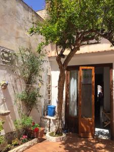 a tree in front of a house with a door at Appartamento a due passi dal mare 8 posti letto in San Vito lo Capo