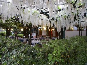 帕帕餐厅酒店外面的花园