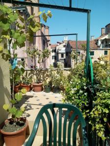 a green chair sitting on a balcony with plants at Hotel Diana in Venice