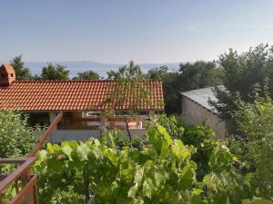a view of a house from the garden at Apartment Eden in Crikvenica