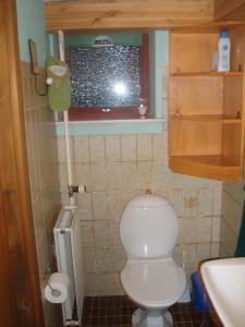 een kleine badkamer met een toilet en een raam bij Glyngøre Bed & Breakfast in Glyngøre