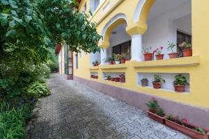 a yellow building with potted plants on the windows at Pensiunea Alis in Călimăneşti