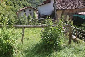 Příroda nedaleko bed and breakfast