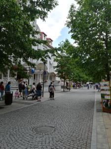 Hostia v ubytovaní Violetta apartmanlakás