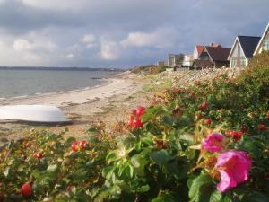 - une plage avec des maisons et des fleurs au bord de l'eau dans l'établissement Glyngøre Bed & Breakfast, à Glyngøre