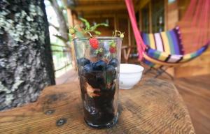 Nápoje v ubytovaní Treehouse Resnice -Mrežnica