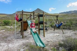 two young boys are playing on a playground at Phillipskop Mountain Reserve in Stanford