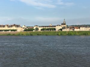 een grote hoeveelheid water met gebouwen op de achtergrond bij 5 Quai de l'Abbé Grégoire in Blois