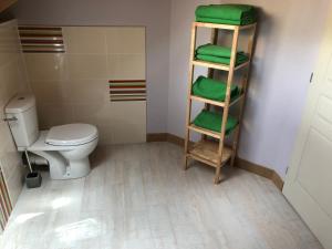 een badkamer met een toilet en een plank met groene handdoeken bij loft st crépin in La Rua