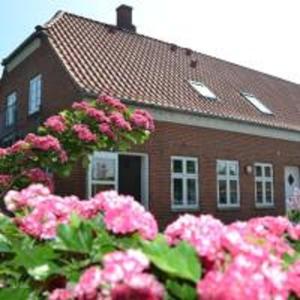 una casa con fiori rosa di fronte di Sea B&B a Bønnerup Strand