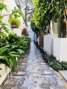 a walkway in a courtyard of a house with plants at Garden House Piura in Piura