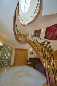 a spiral staircase in a building with a large window at Haddington Place in Dublin