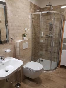 y baño con ducha, aseo y lavamanos. en Wellness Apartmány EMPORIO en Loštice