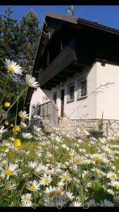 une maison avec un champ de fleurs devant elle dans l'établissement River house HRIB, à Preddvor