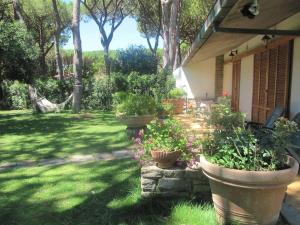 a yard with three large pots of flowers and a house at Villa Ancora in Castiglione della Pescaia