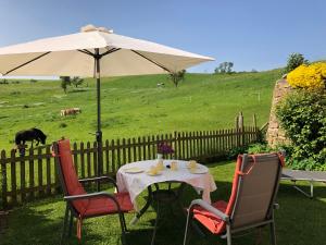 einen Tisch und Stühle mit einem Regenschirm und einem Feld in der Unterkunft Ferienwohnung Anita in Michelstadt