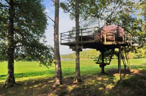 a tree house in the middle of two trees at Sphair perchée in Fisenne