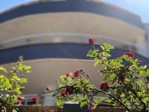 Galeriebild der Unterkunft Aydın Apart Pansiyon in Sinop