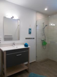 La salle de bains est pourvue d'un lavabo et d'une douche. dans l'établissement Ferienhaus Szapary II, à Eisenberg an der Pinka
