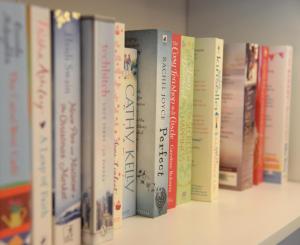 a row of books sitting on a shelf at Gallt y Glyn Hostel in Llanberis