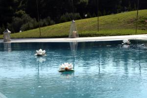 Paesaggio naturale nelle vicinanze della casa vacanze