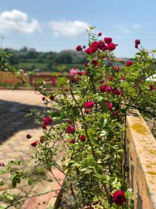 Galeriebild der Unterkunft Aydın Apart Pansiyon in Sinop