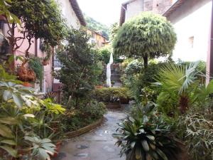a garden with trees and plants in a building at B&B Zia Lina in Dongo