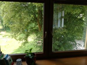 Zahrada ubytování Apartmán u Horynů - Sadová