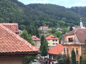 Pogled na planinu ili pogled na planinu iz apartmana