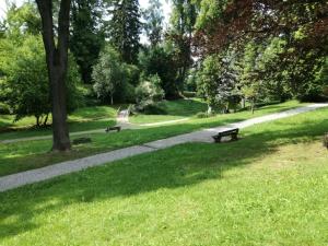 Zahrada ubytování Apartmán u Horynů - Sadová