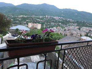 Paesaggio naturale nelle vicinanze dell'affittacamere