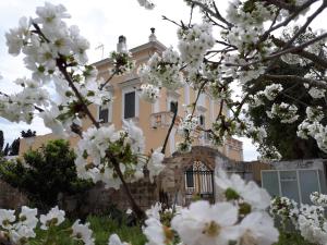 Zahrada ubytování Villa Teseo