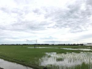 een veld met gras en water en een bewolkte lucht bij Homestay HANI in Arau