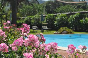 un jardín con piscina y flores rosas en Affittacamere Anselmi Sauro en Portoferraio