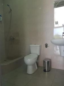 Phòng tắm tại White House in Kakheti Eniseli