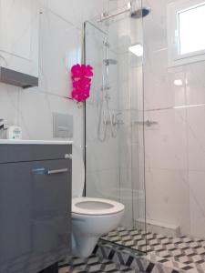 e bagno con servizi igienici e doccia in vetro. di Milla Lux 1 a Paralia Katerinis