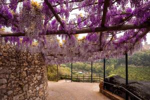 Kebun di luar Villa San Lorenzo