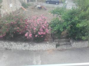 Zahrada ubytování Olympic View Guesthouse