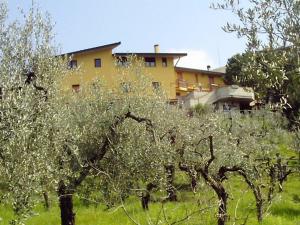 budynek w tle z polem drzew w obiekcie Agriturismo Trivilini w mieście Lanciano
