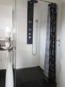 ドロボラッハ・アム・ファーカーゼーにあるApartment Seeblickのバスルーム(花瓶付きのシャワー付)