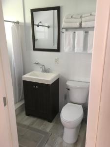 uma casa de banho com um WC, um lavatório e um espelho. em Elizabeth House Inn em Deerfield Beach